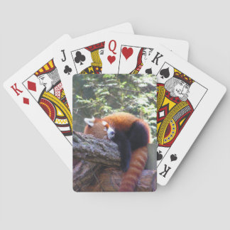 Jeu De Cartes Panda roux endormi