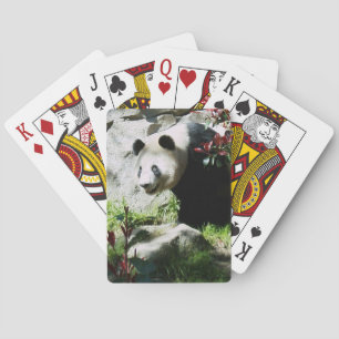 Jeu De Cartes Panda Smile
