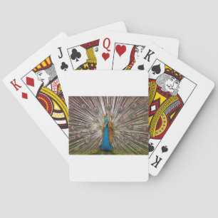 Jeu De Cartes Paon paisible