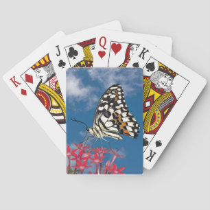 Jeu De Cartes Papillon