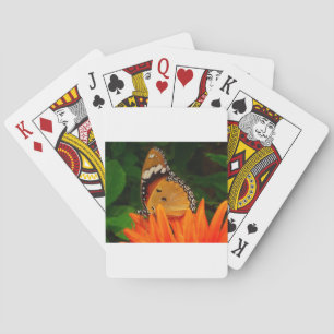 Jeu De Cartes Papillon