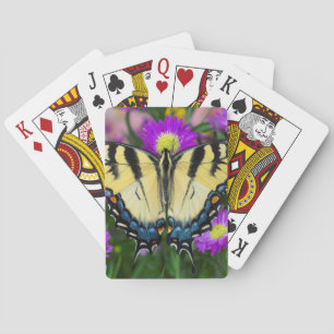 Jeu De Cartes Papillon à queue d'hirondelle sur marguerite