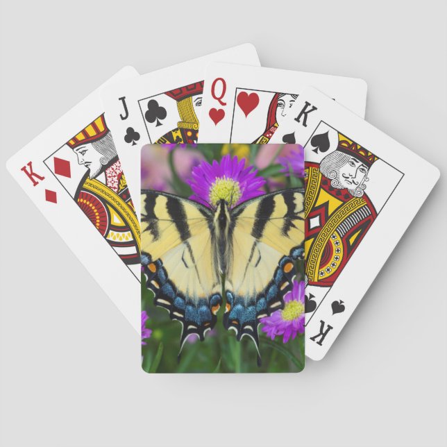 Jeu De Cartes Papillon à queue d'hirondelle sur marguerite (dos)