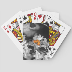 Jeu De Cartes Papillon Américain Lady Sur Blossom Jouer Des Cart
