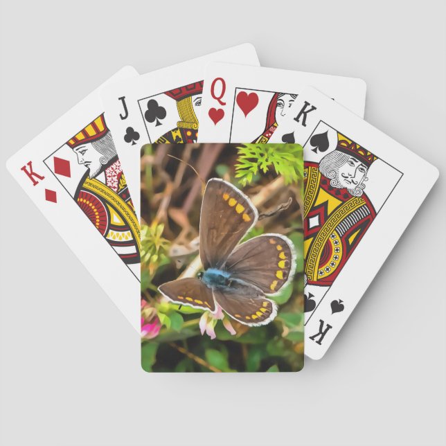 Jeu De Cartes Papillon bleu commun Polyommatus Icarus Peinture (dos)