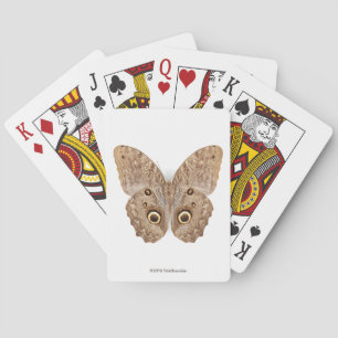 Jeu De Cartes Papillon de hibou