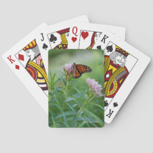 Jeu De Cartes Papillon de monarque
