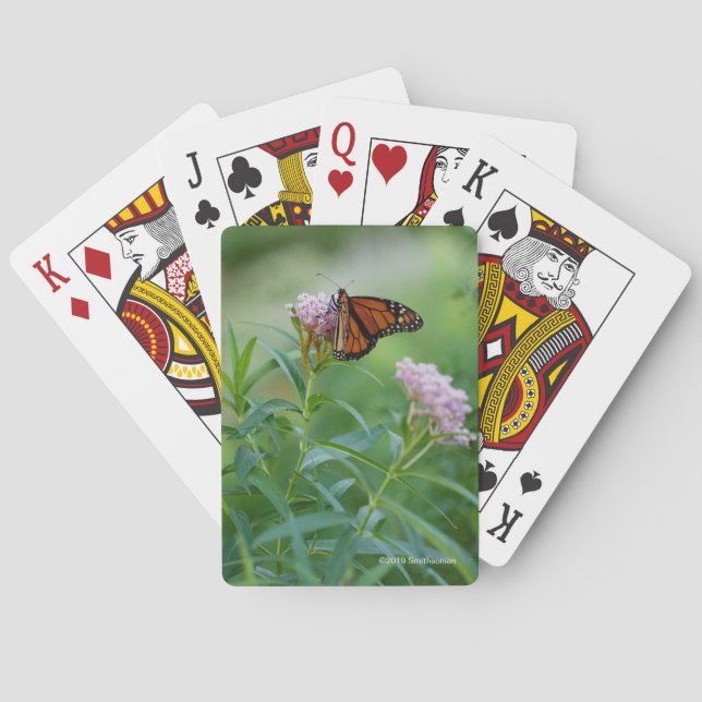 Jeu De Cartes Papillon de monarque (dos)