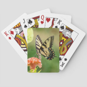 Jeu De Cartes Papillon d'épaisse du tigre oriental