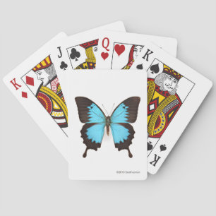 Jeu De Cartes Papillon d'Ulysse