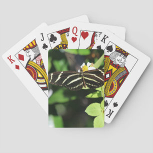 Jeu De Cartes Papillon Heliconius charithonia