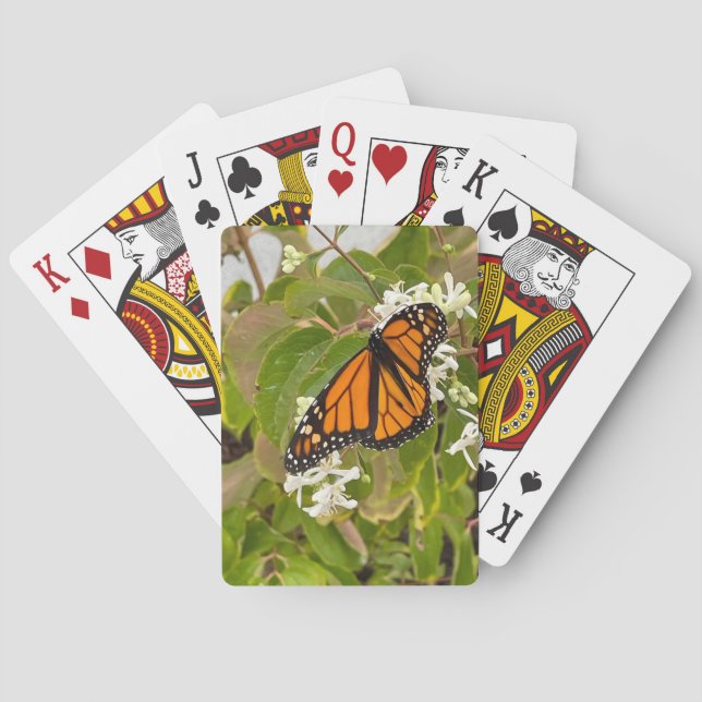 Jeu De Cartes Papillon monarque (dos)