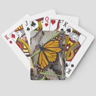 Jeu De Cartes Papillon monarque