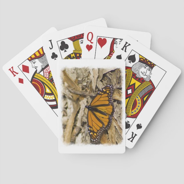 Jeu De Cartes Papillon monarque sur le bord blanc du sol (dos)