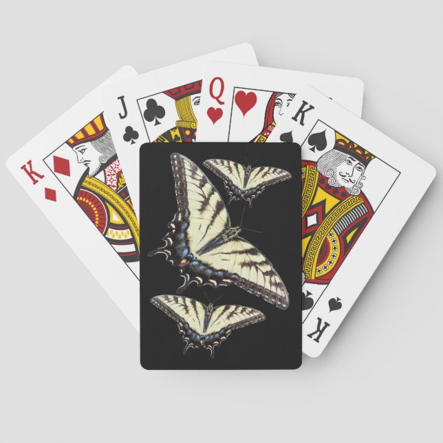 Jeu De Cartes Papillon Papilio glaucus sur des échinacées (dos)