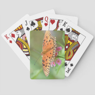 Jeu De Cartes Papillon sur une fleur trouvée dans un parc local
