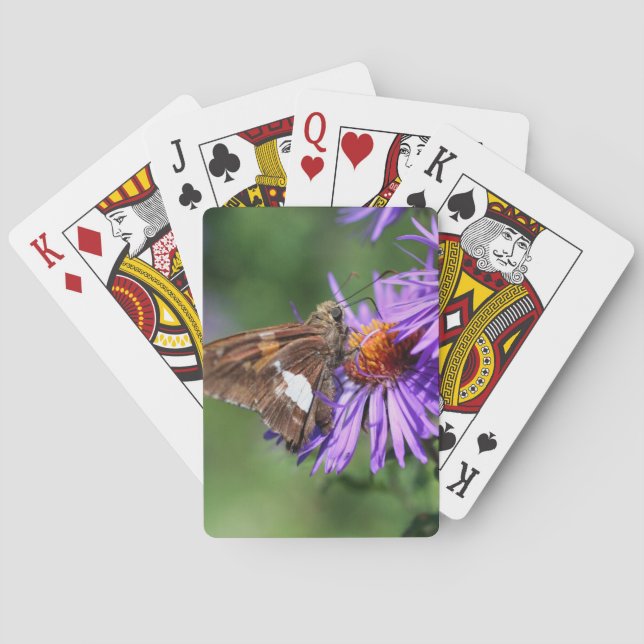 Jeu De Cartes Papillon sur Wild Purple Aster Flower Nature (dos)