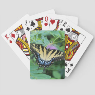 Jeu De Cartes Papillon swallowtail de l'Est