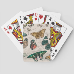 Jeu De Cartes Papillons Collection Antique Papillons