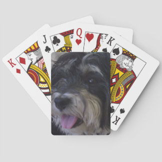 Jeu De Cartes paquet de maltipoo de cartes