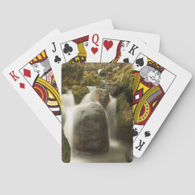 Jeu De Cartes Paradis Tropical Cascade Eau Plage Destinée (dos)