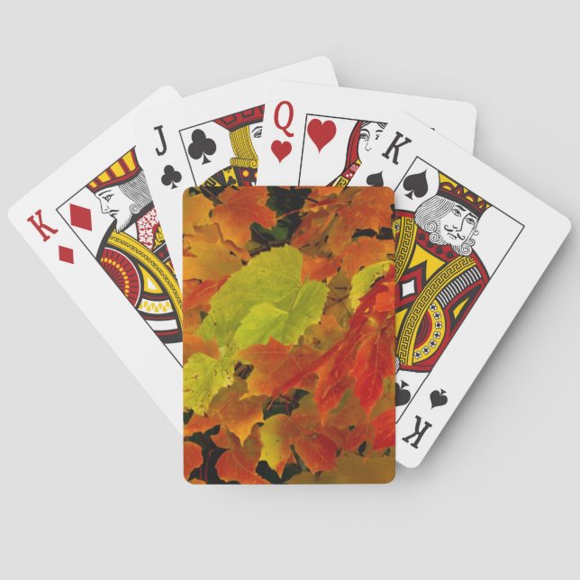 Jeu De Cartes Parc d'État d'Itasca, couleurs d'automne (dos)
