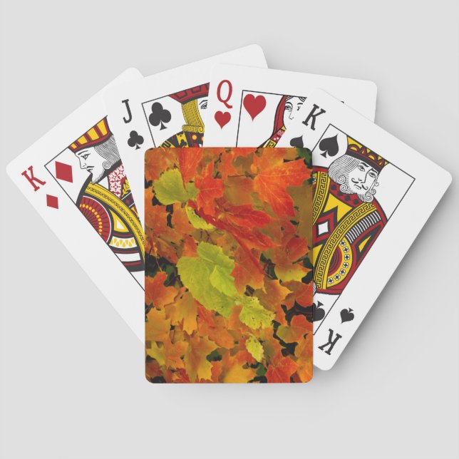Jeu De Cartes Parc d'État d'Itasca, couleurs d'automne (dos)