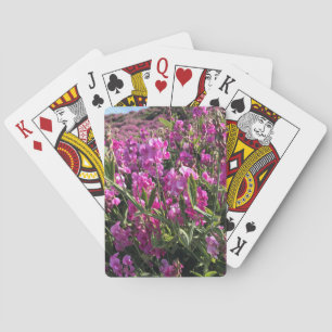 Jeu De Cartes Parc Rock State de Sisters