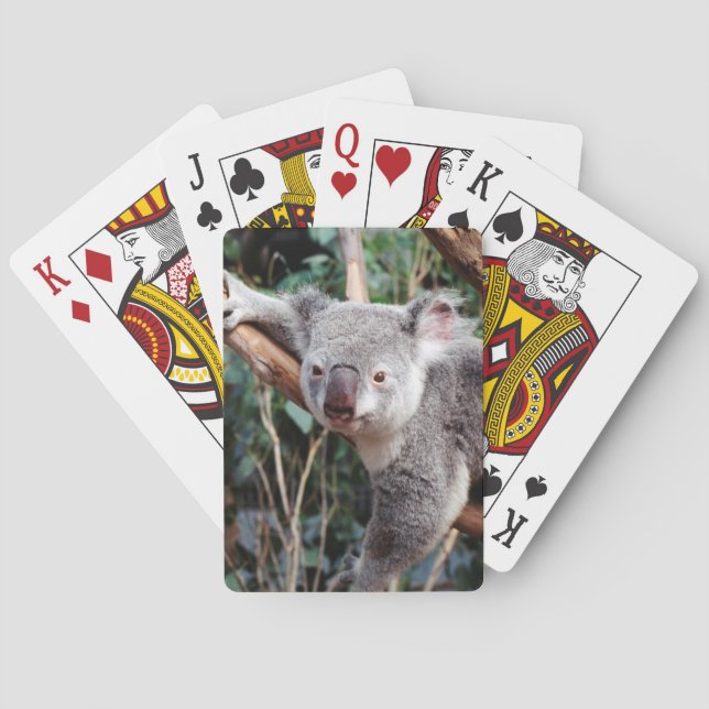 Jeu De Cartes Parc zoologique Featherdale, Koalas (dos)