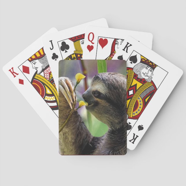 Jeu De Cartes Paresseux à trois doigts (dos)