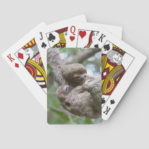 Jeu De Cartes Paresseux bébé avec sa mère suspendue à un arbre