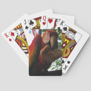 Jeu De Cartes Parrot Macaw Scarlet Manger Toast