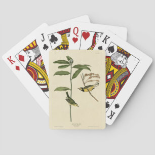 Jeu De Cartes Paruline à capuchon des oiseaux d'Amérique d'Audub