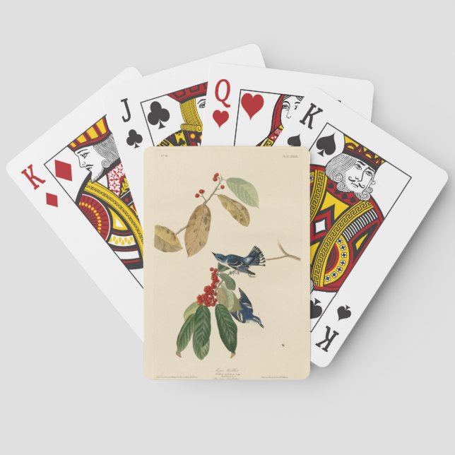 Jeu De Cartes Paruline azurée (Cerulean), Audubon Birds of Ameri (dos)
