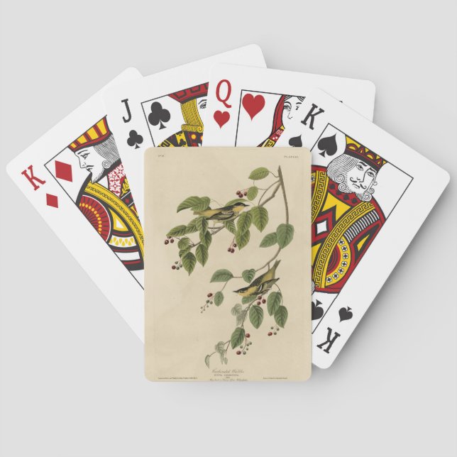 Jeu De Cartes Paruline carbonée des oiseaux d'Amérique d'Audubon (dos)