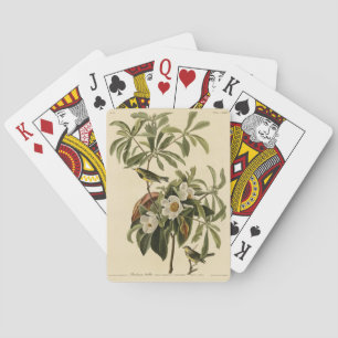 Jeu De Cartes Paruline de Bachman, d'Audubon's Birds of America