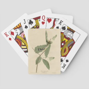 Jeu De Cartes Paruline noire et jaune, Audubon's Birds of Americ