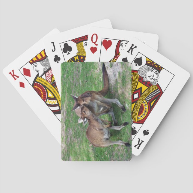 Jeu De Cartes Pas maintenant Skippy (dos)