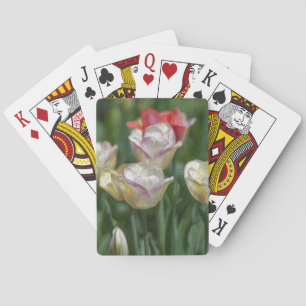 Jeu De Cartes Pastel Tulips