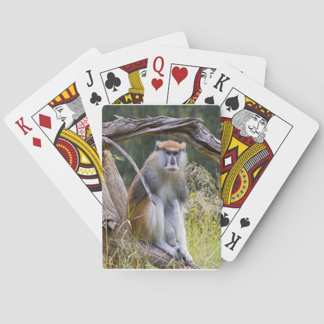 Jeu De Cartes Patas Monkey (dos)