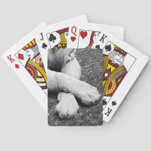 Jeu De Cartes Pâtes