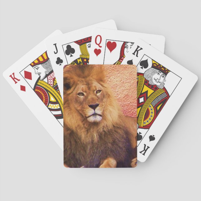 Jeu De Cartes Patience_ (dos)