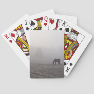Jeu De Cartes Pâturage