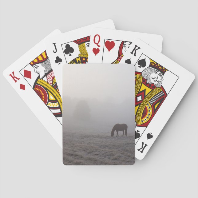 Jeu De Cartes Pâturage (dos)