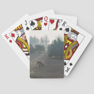 Jeu De Cartes Pâturage