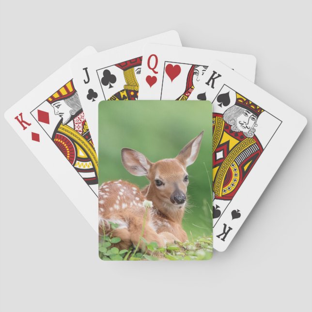 Jeu De Cartes Pauvreté adorable posée sous un arbre (dos)