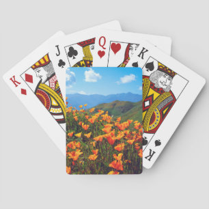 Jeu De Cartes Pavot californien recouvrant une colline