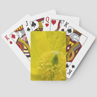 Jeu De Cartes Pavot jaune oriental