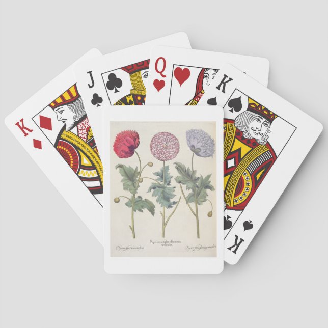 Jeu De Cartes Pavots: 1.Papaver multiplex albumoris rubicundis; (dos)