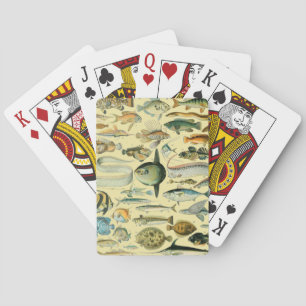 Jeu De Cartes Pêche scientifique vintage